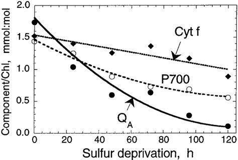 Concentration Of Functional Psii Q A Cytochrome B 6 F Complex Cyt