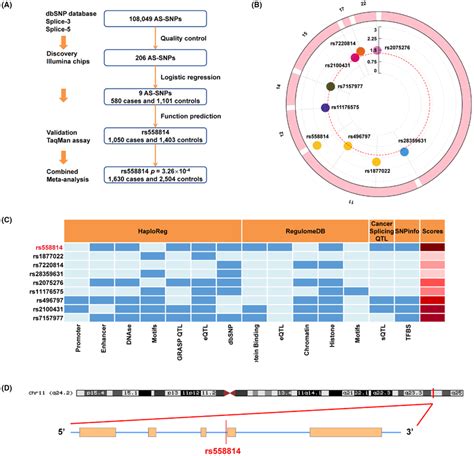 Alternative Splicing‐single Nucleotide Polymorphism As‐snp Selection