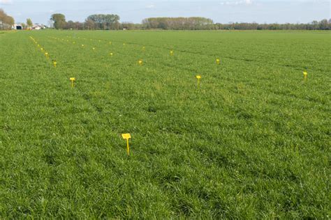 ‘One Trial is No Trial’: The Importance of Field Trials for New AgTech