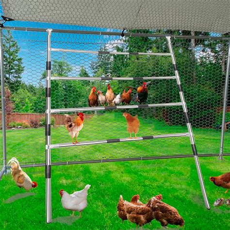 Amazon.com: Frebuta Chicken Coop Roosting Ladder(63'' L x 41'' W),Chicken Perch Set Backyard ...