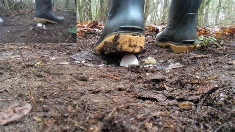 Rubberboots Food Crush Eggs Free Shemale Porn Video D XHamster