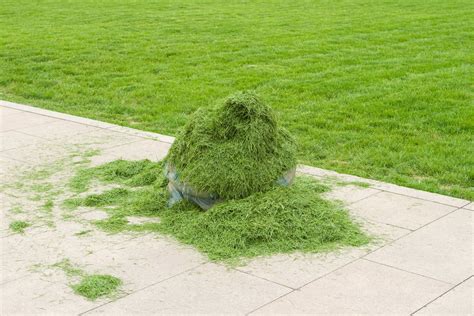 Bagging lawn clippings - lanaux