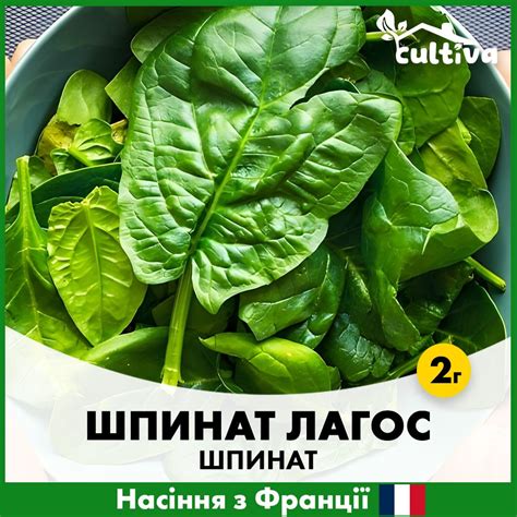 Купить Шпинат Лагос, 2 гр Y2003 в интернет магазине cultiva