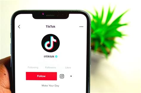 How To Add A Link Tree To A TikTok Bio