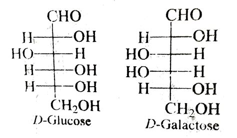 Glucose Vs Galactose Structure