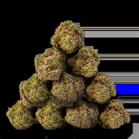 Arizona Organix Dispensary