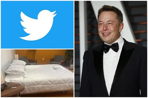 Elon Musk A Transformat Birourile Twitter N Camere De Hotel Pentru