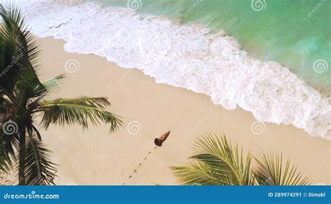 Aerial Drone View Of Tropical Beach With Palm Trees And Bikini Woman Stock Video Video Of