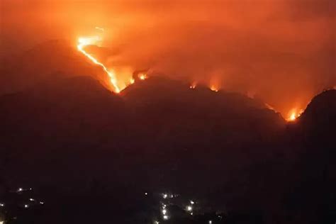 Gunung Merbabu Kebakaran Bagi Yang Sudah Resevasi Pendakian Bisa