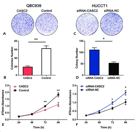 CASC2 Affects The Proliferation Of CCA Cells In Vitro A D Clone