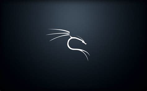 Kali Linux Information Gathering Reconnaissance Techniques Cyber