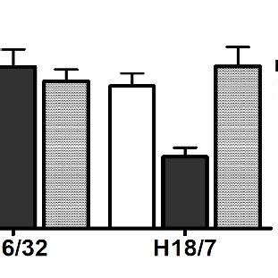 Cell Surface Expression Of E Selectin And Icam In Huvec After Il