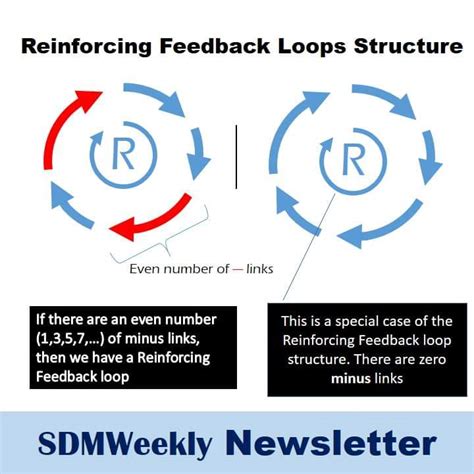 How To Know Which Loops Are Reinforcing Feedback Processes Sdmweekly