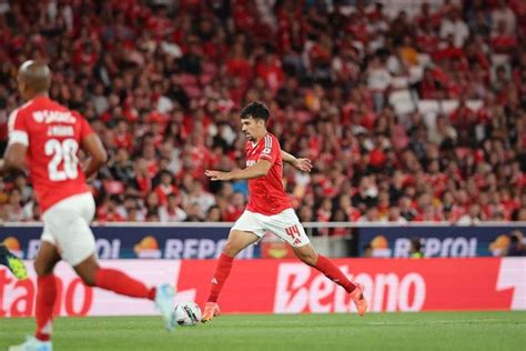 PSG aponta a Tomás Araújo Benfica Flashscore pt