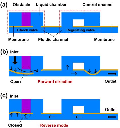 The Working Principle Of The Microfluidic Flow Regulatory Device A