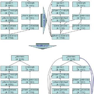 Bach Family Tree Excerpt | Download Scientific Diagram