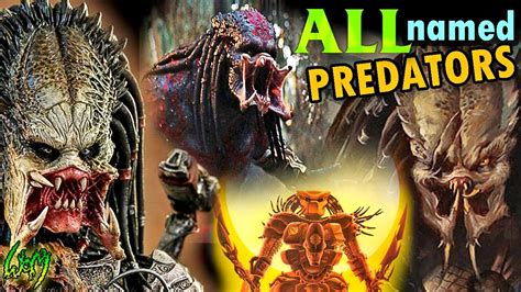 Every Named Predators Yautja You Need To Know About Youtube