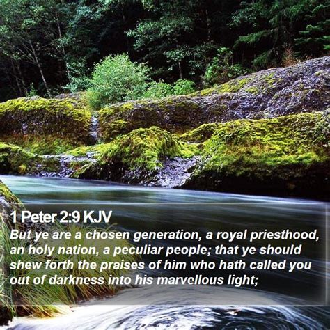 1 Peter 2 9 KJV But Ye Are A Chosen Generation A Royal