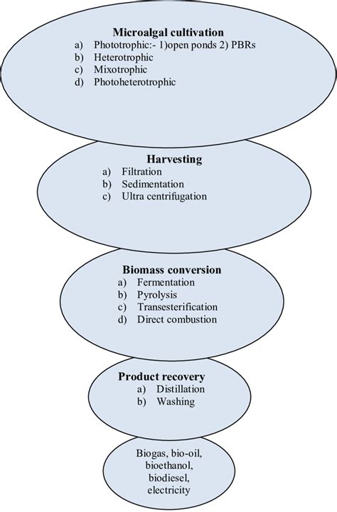 Flow chart showing process of biofuel production from microalgae | Download Scientific Diagram