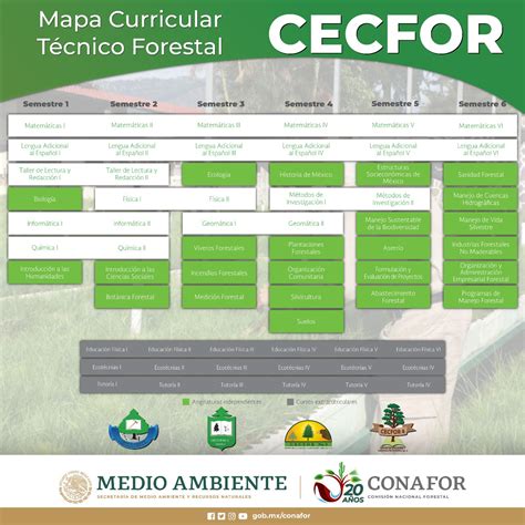 Educación Sistema Nacional de Información Forestal