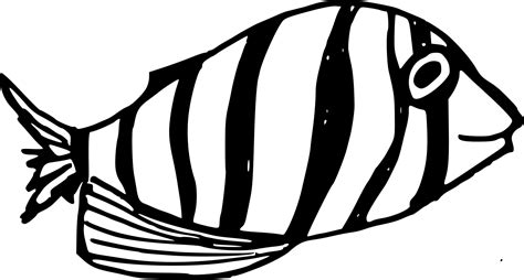 10 Fish Drawing (PNG Transparent) | OnlyGFX.com