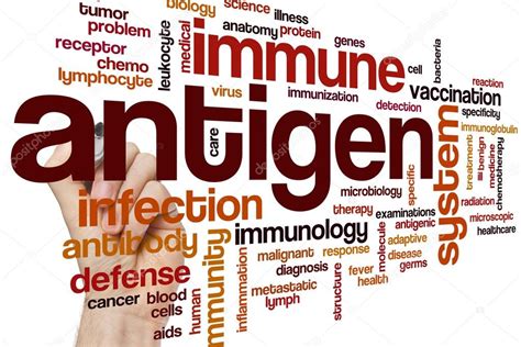 Antigen Word Cloud Stock Photo By Ibreakstock