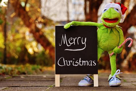 Kermit Frog Christmas Santa - Free photo on Pixabay - Pixabay