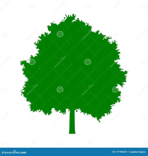 Tree silhouette icon stock vector. Illustration of corporate - 177786251