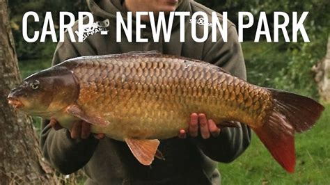 Autumn Carp Fishing Uk Newton Park Big Carp Core Baits Youtube