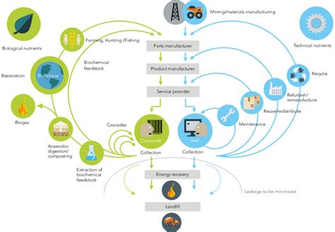 The Circular Economy Model By Ellen Macarthur Foundation Download