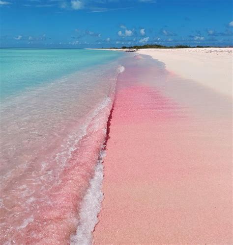 The Best Beaches in Barbuda - BeachAtlas