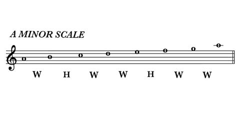 A Beginner's Guide to Major and Minor Scales | Online Metronome