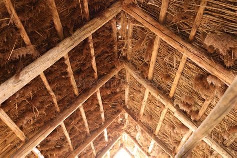 The Reed Roof On The House Natural Building Materialstexture Of Old