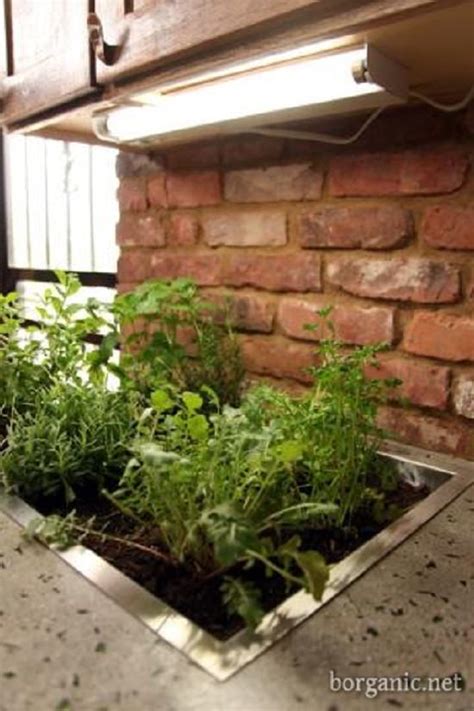 22 Kitchen Countertop Herb Garden Ideas For Apartment Living