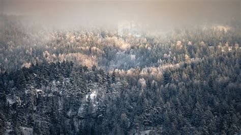 Fog and Frozen Lake Landscape · Free Stock Photo