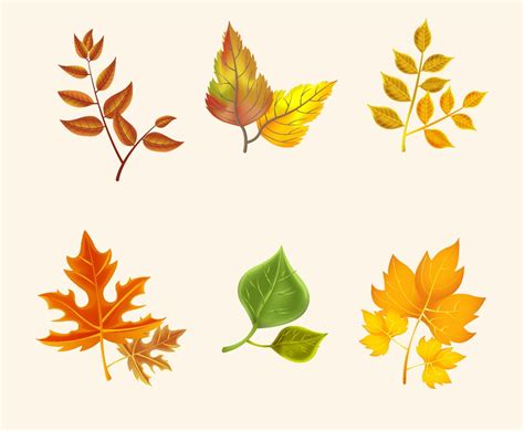 Set Of Autumn Leaves Icons