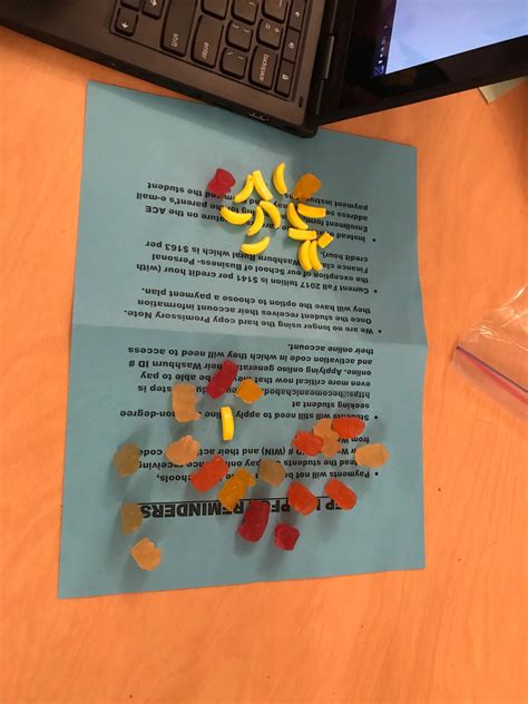 Gummy Government 2017 Mr Rimmeys Classroom