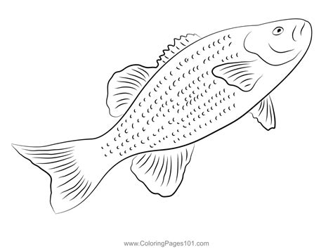 Fish For Bass Step Coloring Page for Kids - Free Basses Printable ...