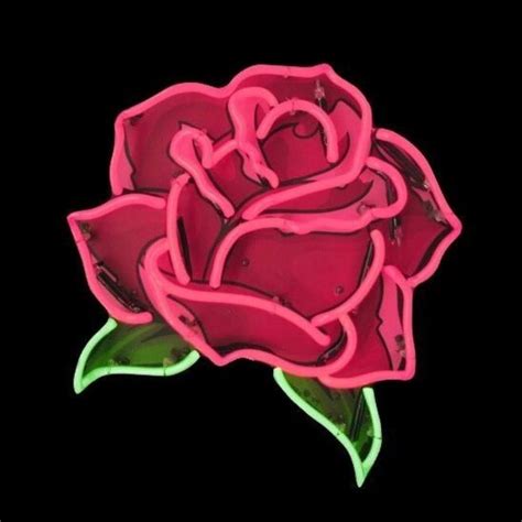 Download Neon Flower Rose Artistic Pfp