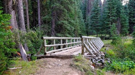 Best Hikes at Beautiful Roan Mountain State Park, Tennessee - Pine ...