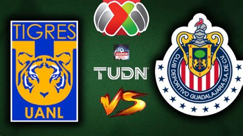 TIGRES VS CHIVAS DE GUADALAJARA EN VIVO GRAN FINAL LIGA BANCOMER MX