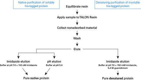 Denatured Protein