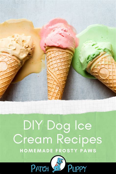 3 Diy Dog Ice Cream Recipes Homemade Frosty Paws Style Treats Dog