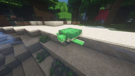 Minecraft Turtle Guide: How to Hatch, Tame & Breed - Minecraft Guides