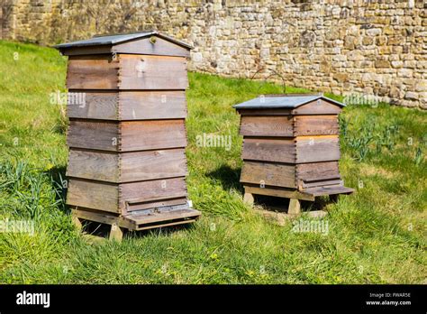 Beehives Stock Photos And Beehives Stock Images Alamy