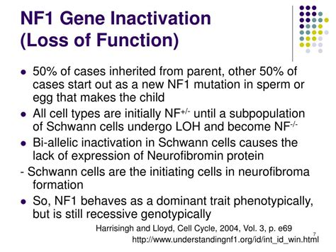 PPT - NF1: Tumor Suppressor Gene PowerPoint Presentation, free download ...