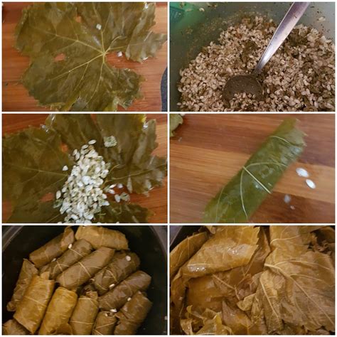 Dolmades | Slow Cooker Central