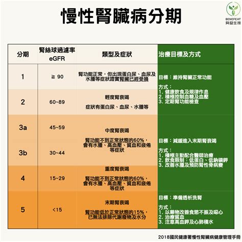 衛教專欄 揪出腎臟病！健檢報告的腎功能數字解密！