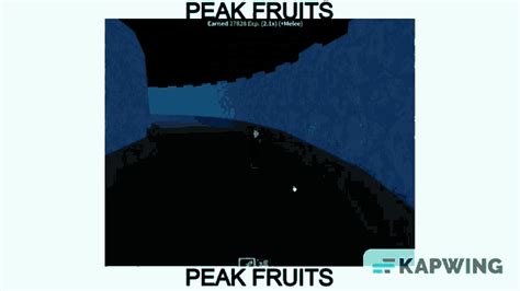 Peak Fruits Blox Fruits  Peak Fruits Blox Fruits Roblox Discover