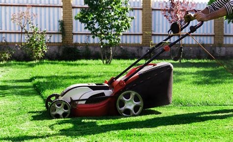 The Best Electric Lawn Mower for Small Yards in 2025 • ThreeTwoHome